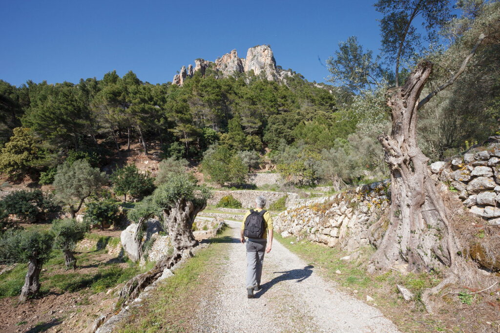 Wanderglück verspricht das Naturparadies Tramuntana Foto © Sebastià Torrens