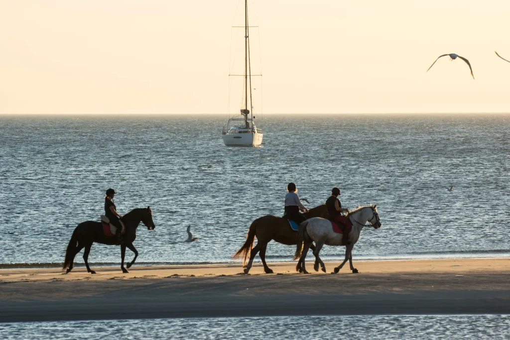 MyiLands 0224 - Reiterinsel Sylt - 2