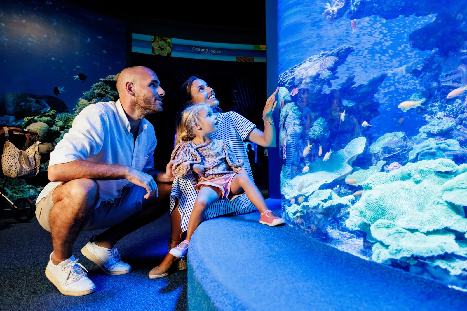 Das Palma Aquarium ist ein faszinierendes Erlebnis für die ganze Familie.